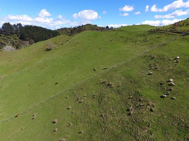 40 Ototoika Road Te Kuiti_29