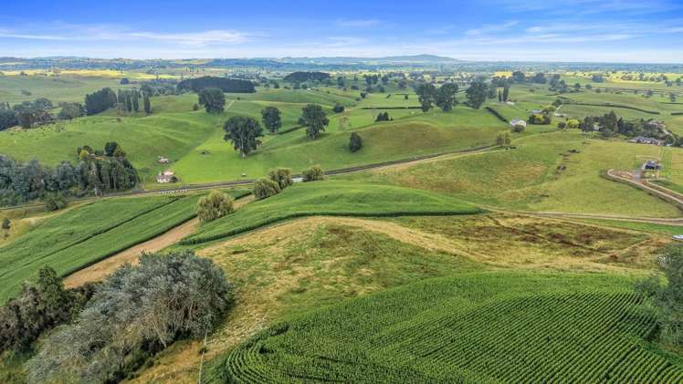 Lot Lot 4 Tapapa Road West Tirau_3