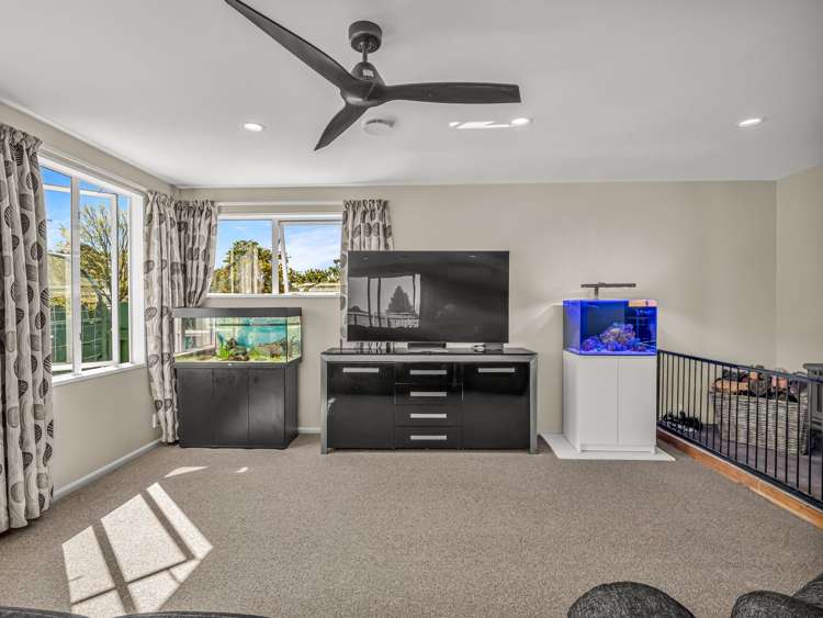 65 Nixon Street Tinwald_20