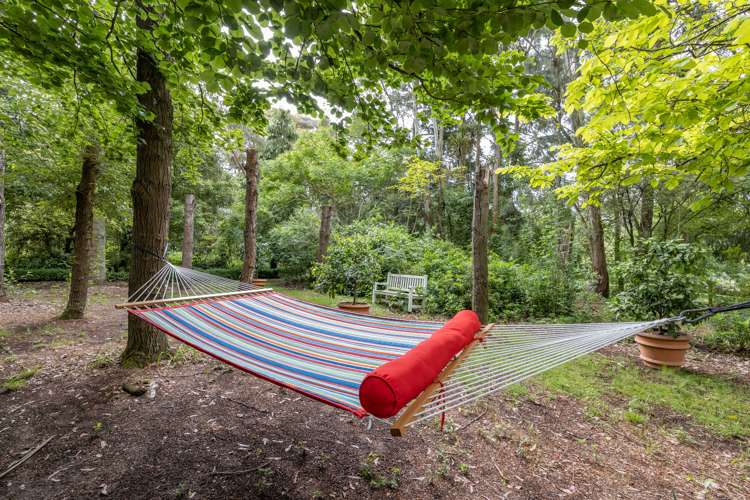 1221 North Eyre Road West Eyreton_24