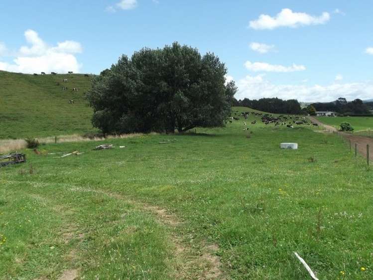 678 Wingrove Road Stratford_9