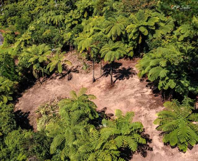 Te Paki Road Shannon_2