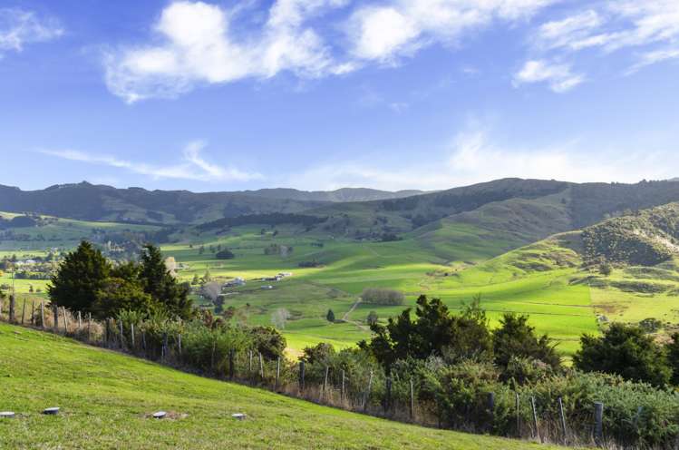 1612a Pakiri Road Tomarata_17