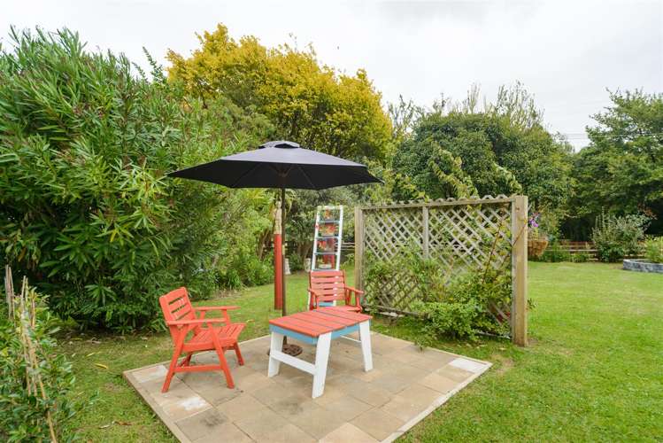 60 Johnson Street Bulls_30