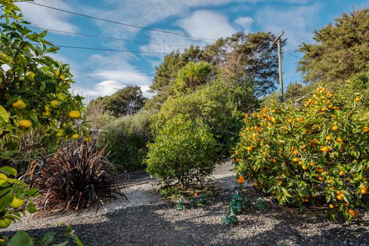 100 Milton Terrace Picton_5