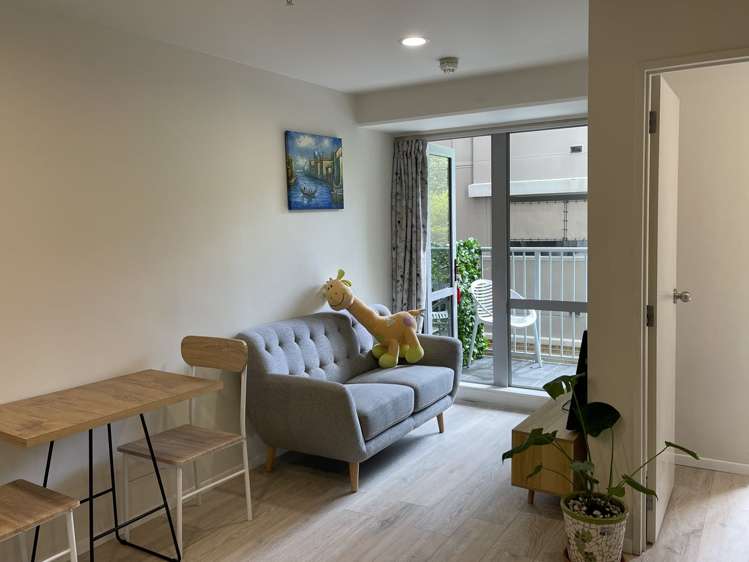 113 Vincent Street Howick_5