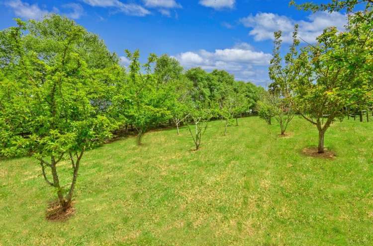 1568 Old North Road Helensville_24