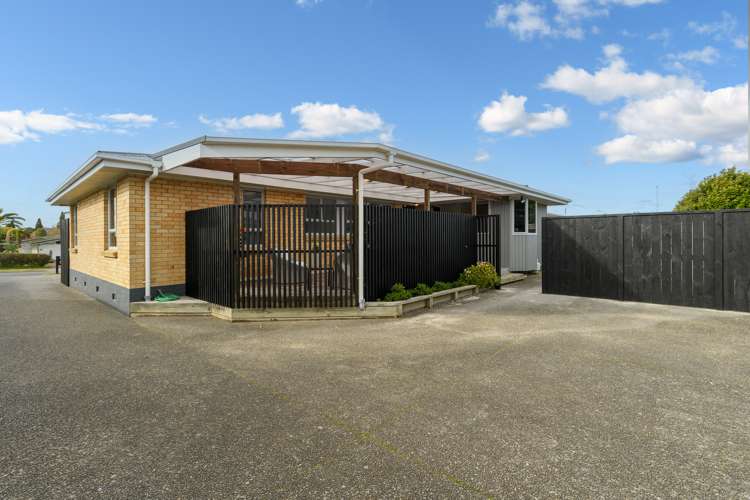 14 Vine Avenue Maungatapu_7