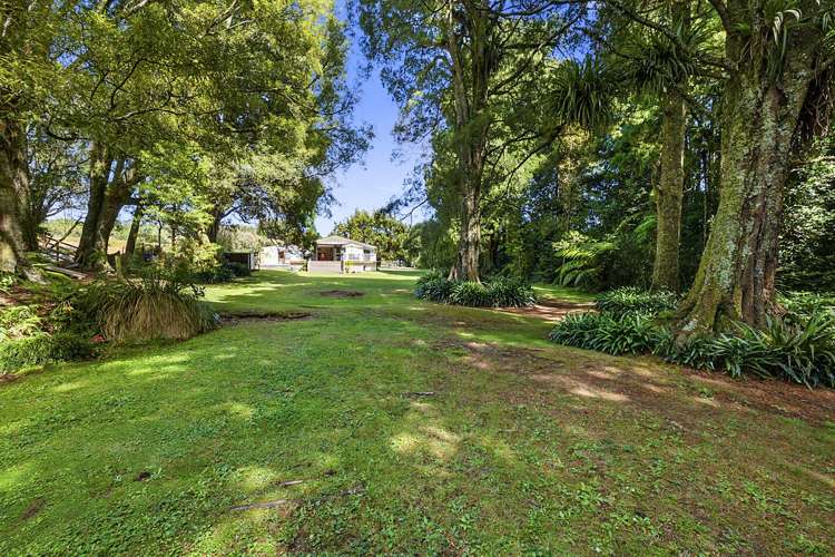 359a Tukapa Street Hurdon_26