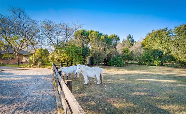 842 Hoskyns Road West Melton_2