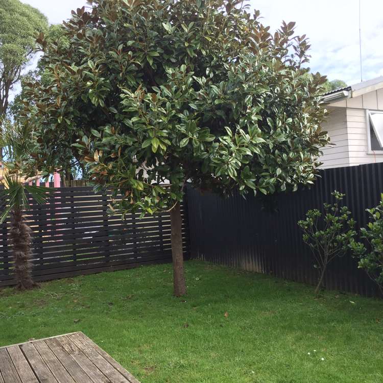 10c Steven Street Mangere East_5
