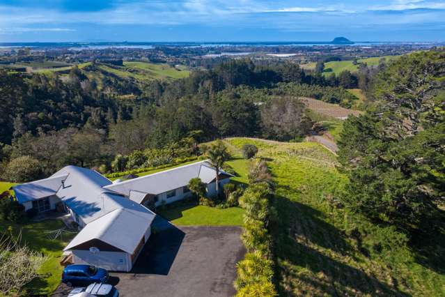 257f Whakamarama Road | Whakamarama | Western Bay Of Plenty | Houses ...