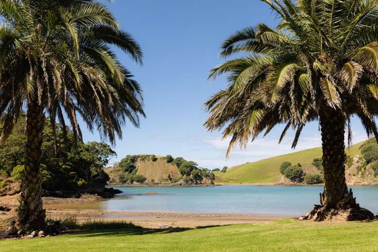 Whangaihe Bay Kaeo_19