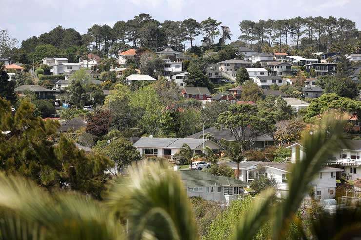 Houses in Campbells Bay