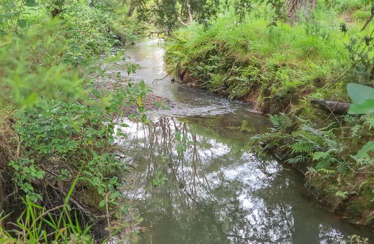 84 Rigden Road Opua_15