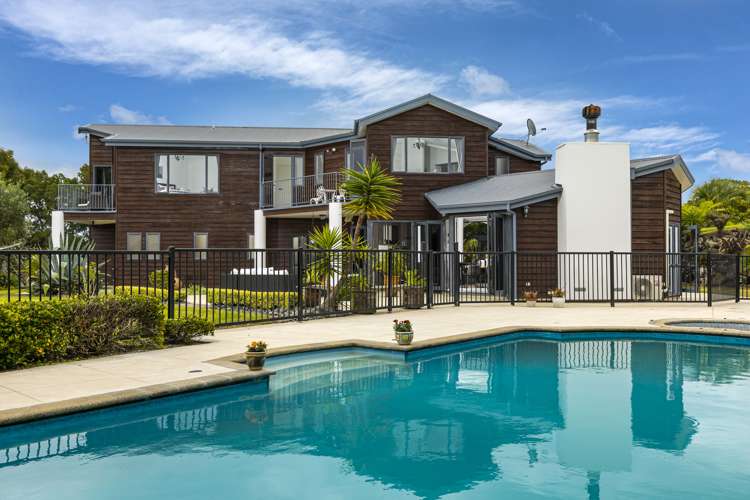 99 Potter Road Dairy Flat_0