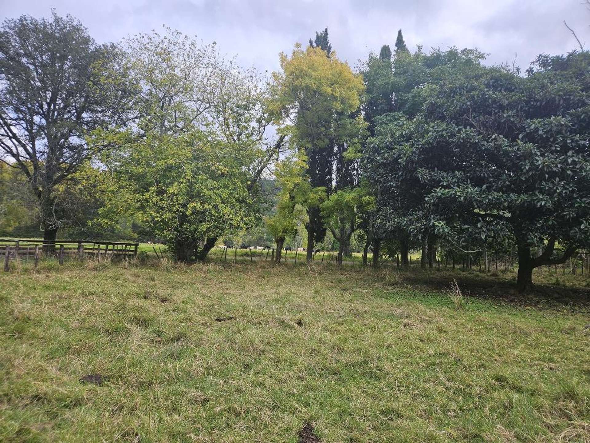 191 Opitonui Road Otapaurau_0
