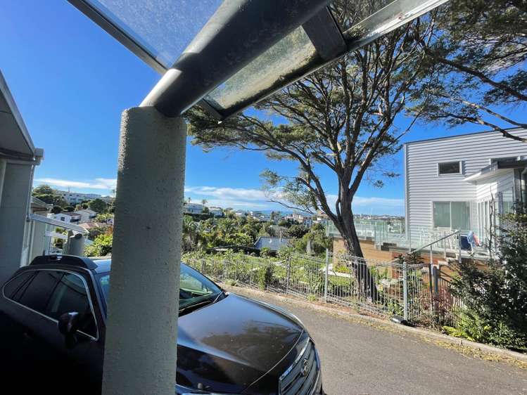 10/18 Parr Terrace Castor Bay_15