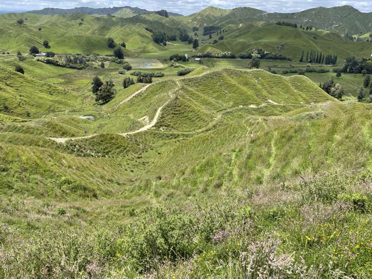 6753 Ohura Road Ruapehu-King Country Surrounds_10