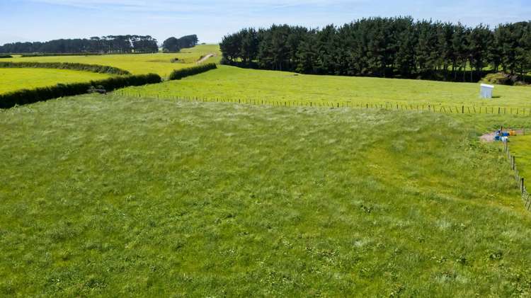 174 South Road Hawera_16