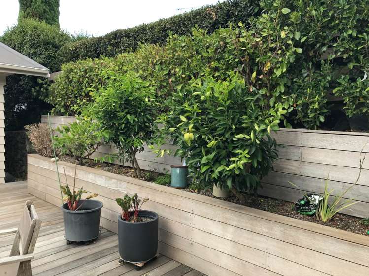 77 Churchill Road Cockle Bay_19