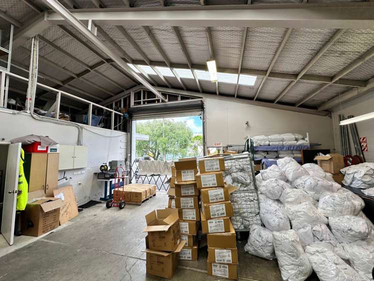 39 Olive Road Penrose_5