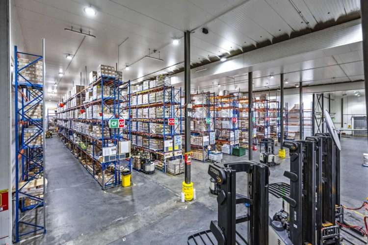 17 Nesdale Avenue Wiri_15