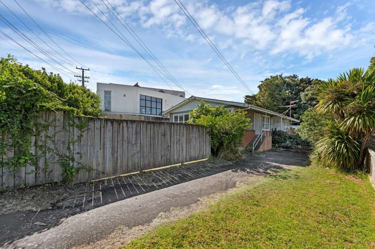 1/10 Domain Road Panmure_1
