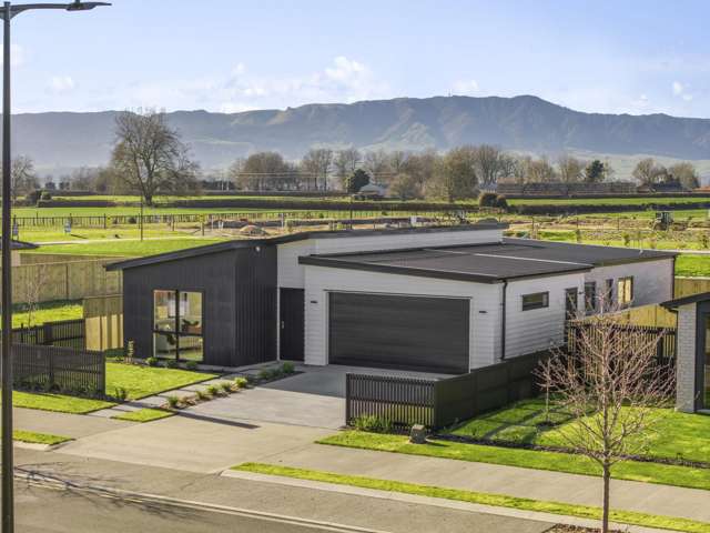 Brand new living with an added opportunity