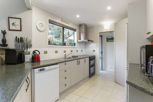 4 York Road Titirangi_3