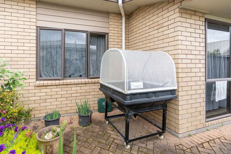 50d Campbell Street Frankton_13