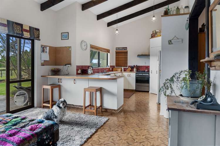 259 Ruahihi Road Kaimai_5