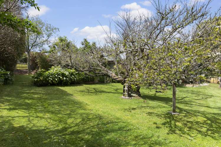 1 Westbourne Road Murrays Bay_4