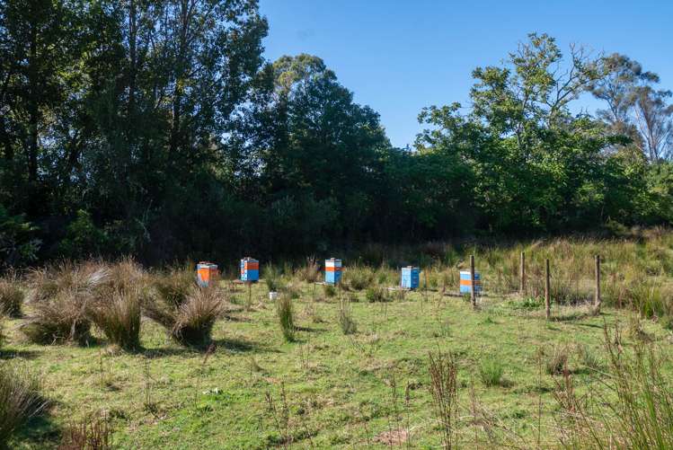 27 Tongaporutu Road Ohura_21