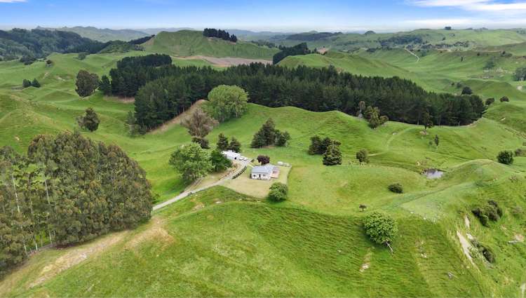 412 Rongoiti Road Taihape_33