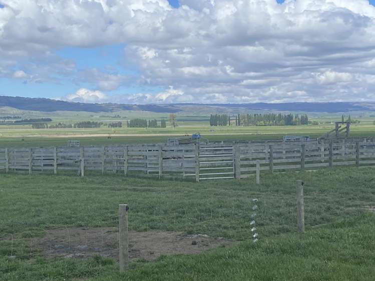 224 Auripo Road Poolburn_18