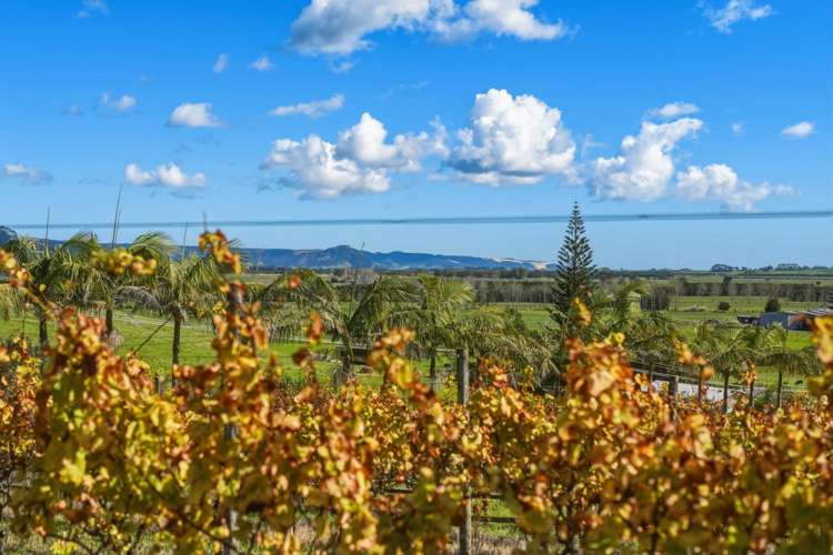 520 Okahu Road Kaitaia_47