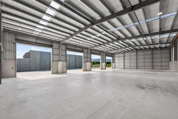 6 Manatu Way Richmond_4