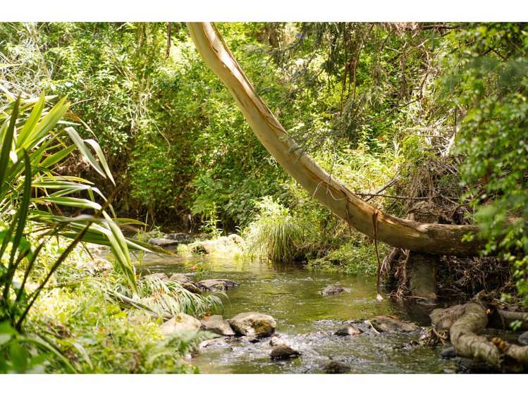 14 Campbell Lane Kerikeri_19