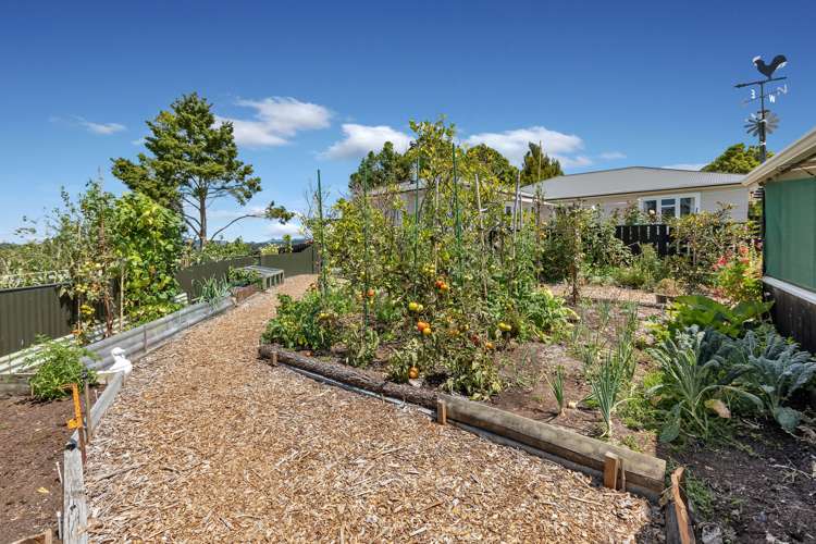 329 Mcbeth Road Poroti_16