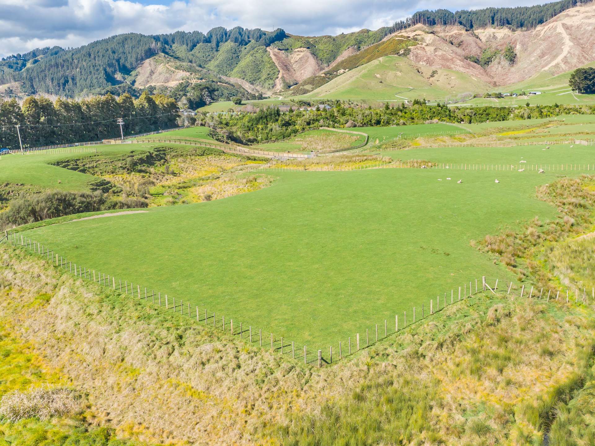 116 Mcdonald Road Levin_0