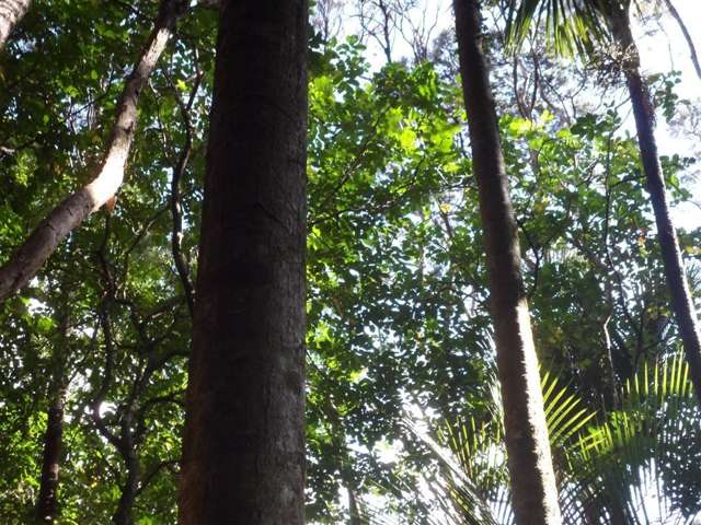 27 Omatai Road Peria_3