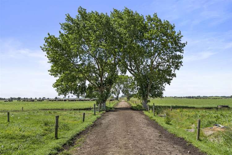 349 Uapoto Road Taupiri_21