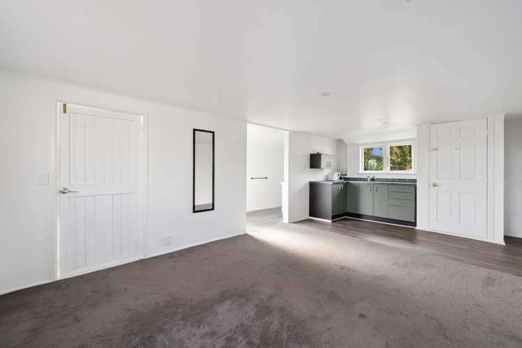 29B Sussex Street Levin_16