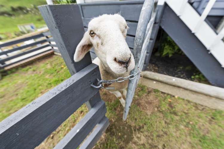 52 Dukeson Road Lichfield_21