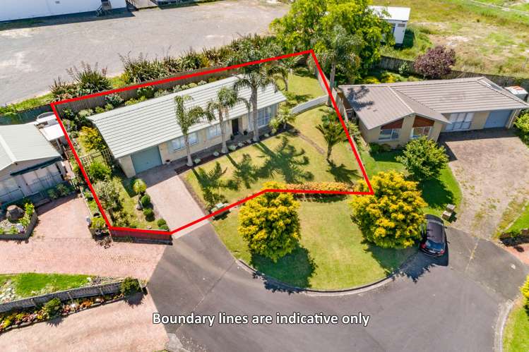 11 Evergreen Rise New Lynn_16