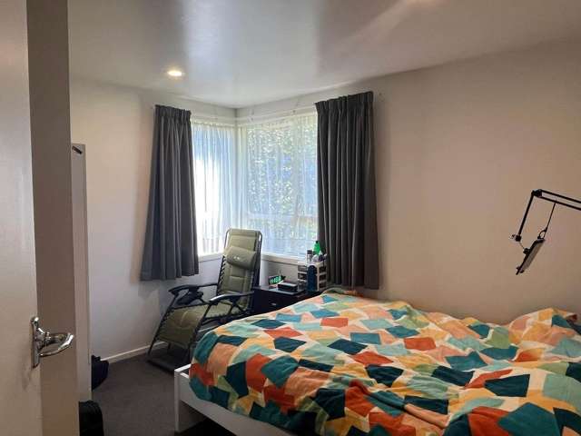 17 Skinner Road Mt Wellington_3