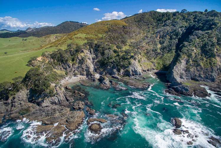 Kauri Mountain Road Whangarei_0