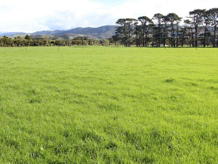 1125 Kakariki Road Eketahuna_14