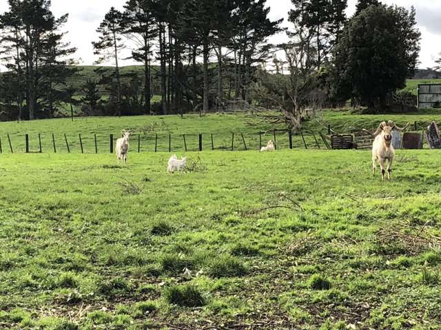 665 Newall Road Newall_2